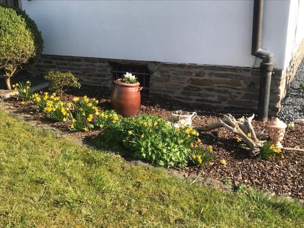 Ferienwohnung Sonnen - Terrasse Bernkastel-Kues Esterno foto
