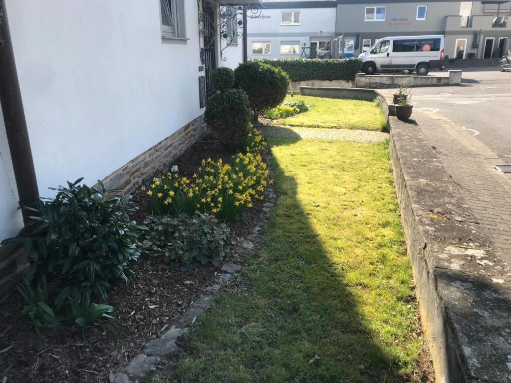 Ferienwohnung Sonnen - Terrasse Bernkastel-Kues Esterno foto